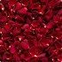 Petal